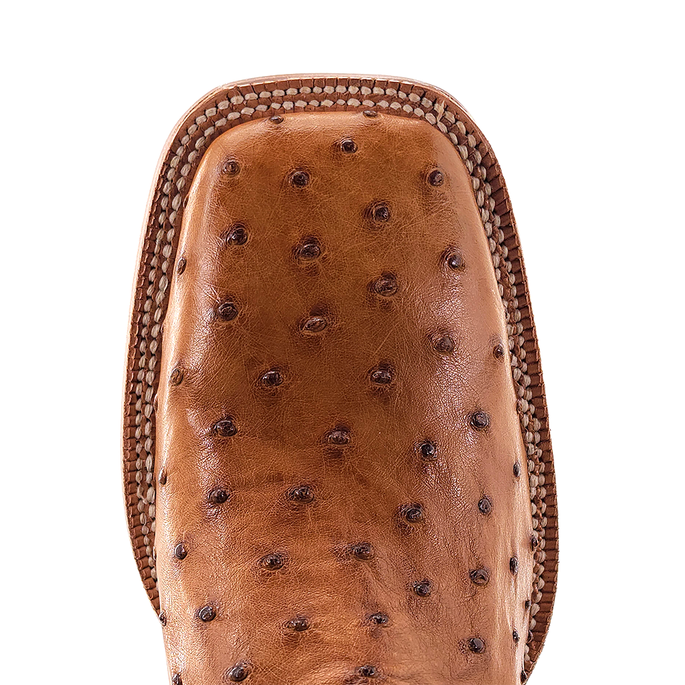The Taft Boot